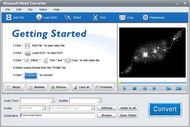 4Easysoft Media Converter screenshot